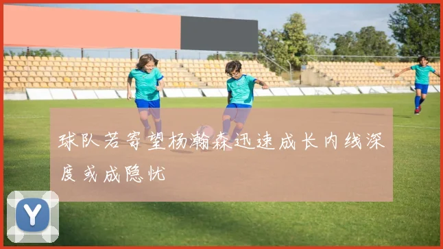球队若寄望杨瀚森迅速成长内线深度或成隐忧