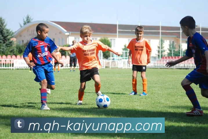 开云体育发展历程